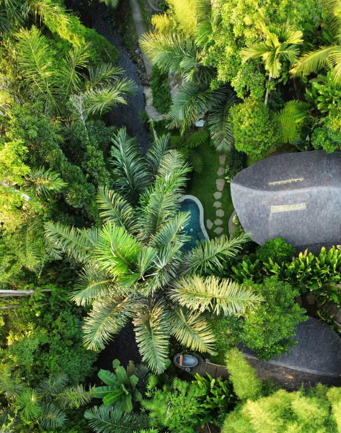 Wahem Eco Bamboo - Magical Bamboo House Ubud Bali Exterior foto
